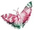 soave deco butterfly scrap pink green - png ฟรี