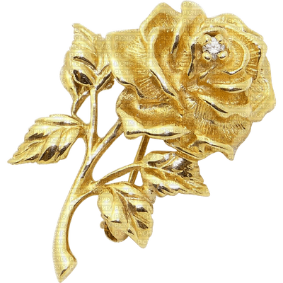 Golden rose - PNG gratuit