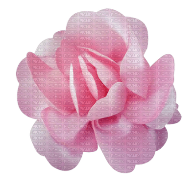 Kaz_Creations Deco Flower Pink Colours - png gratis