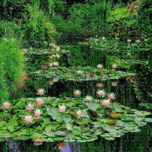 Water Lily Pond gif with glitter - GIF animé gratuit
