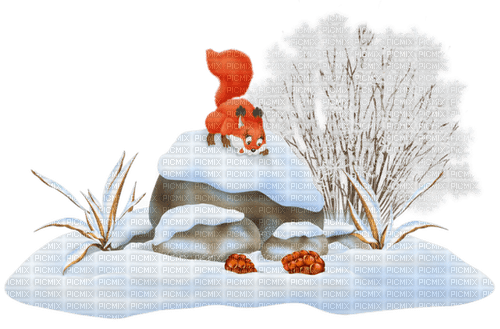 winter deco by nataliplus - δωρεάν png