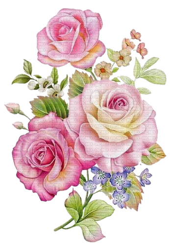 Blumen, Rosen, Rosa Töne - darmowe png