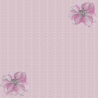 bg-flower-pink - Free PNG
