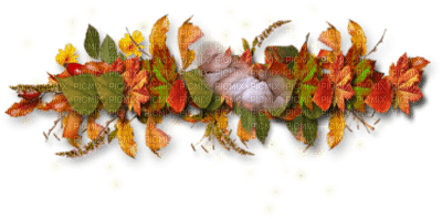 tube automne - 免费PNG