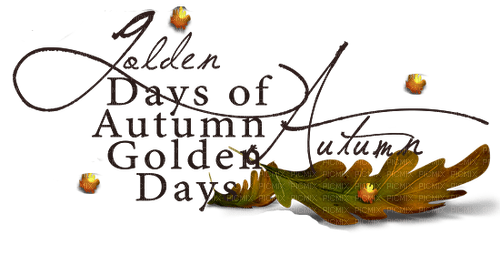 Autumn.Text.golden days.Victoriabea - PNG gratuit
