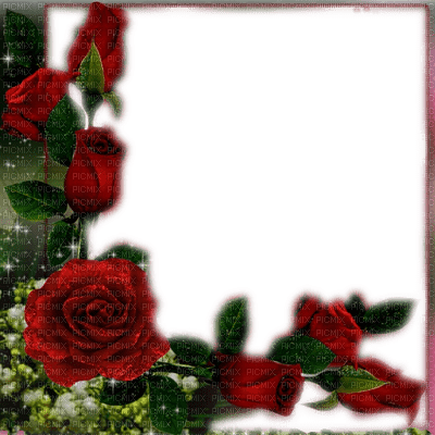 frame cadre flowers - gratis png