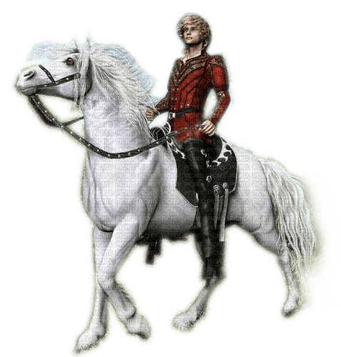 Rena Prinz Pferd Horse - бесплатно png