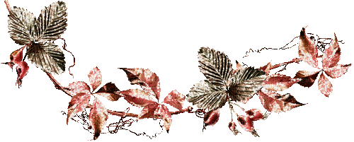 autumn automne herbst - 免费动画 GIF
