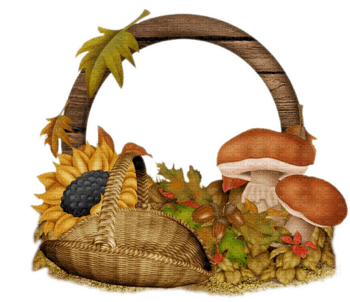Herbst, Korb, Pilze, Sonnenblume, Fall - zdarma png