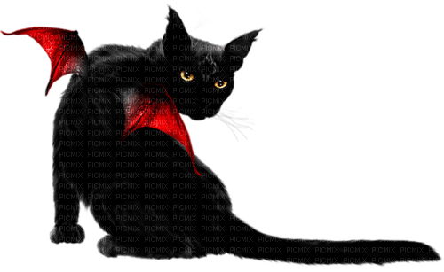 gothic cat by nataliplus - png gratuito