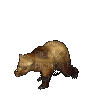 Bear Walking - Ilmainen animoitu GIF