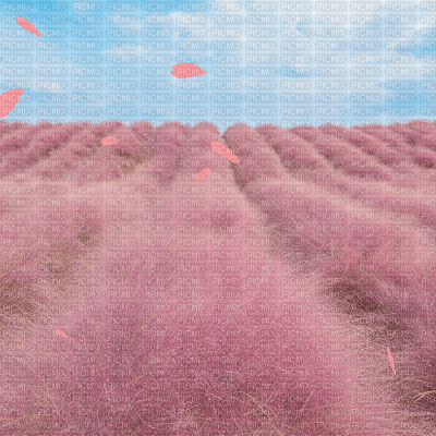 Pink Fluffy Fields - Animovaný GIF zadarmo