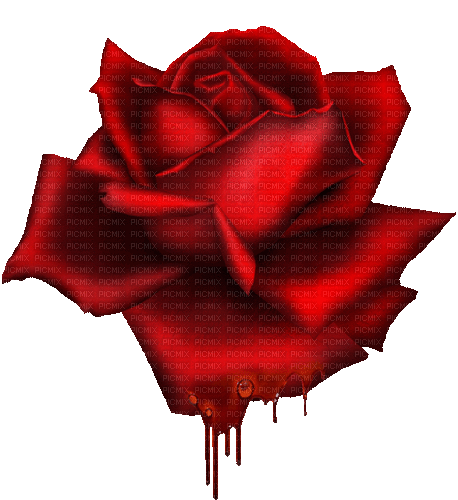 rose - Бесплатни анимирани ГИФ