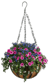 Blumenampel - zdarma png