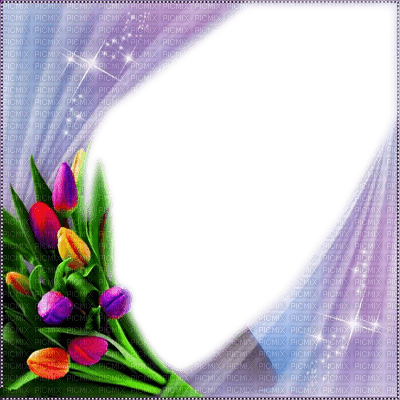 frame cadre flowers - PNG gratuit