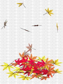 leaf fall autumn 2 - GIF animate gratis