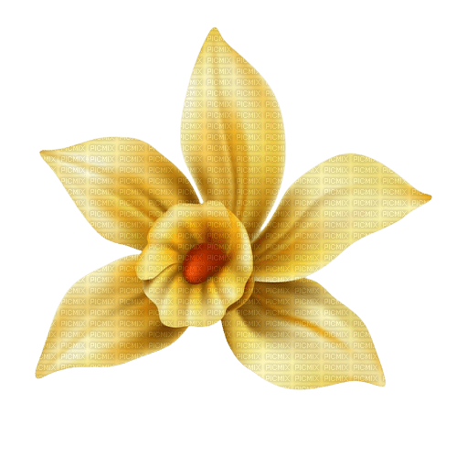 Flower Vanilla  Yellow - Bogusia - безплатен png