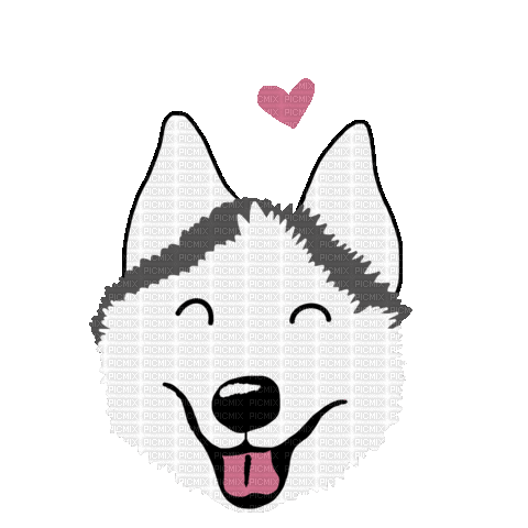 Siberian Husky Dog - GIF animé gratuit