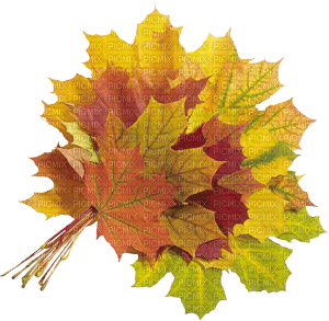 autumn_ leaves_automne_ feuille_BlueDREAM70 - PNG gratuit