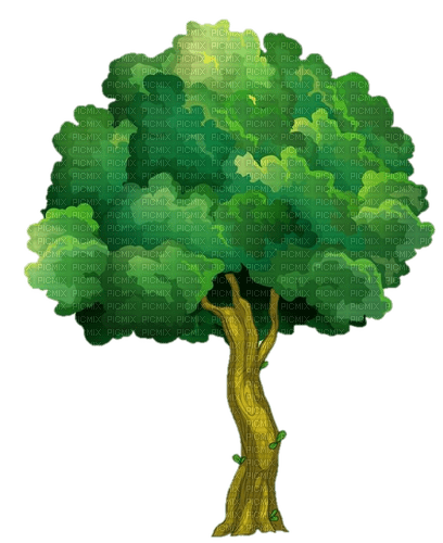 tree - nemokama png