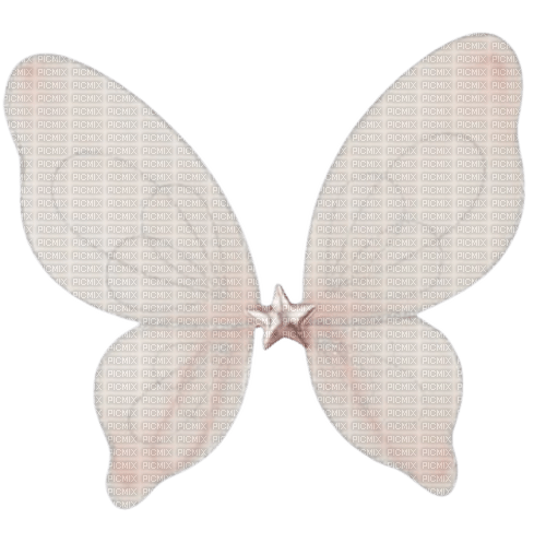 butterfly - Free PNG