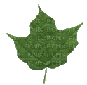 Leaf - GIF animado grátis