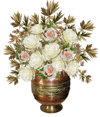 kukka fleur flower rose ruusu - фрее пнг