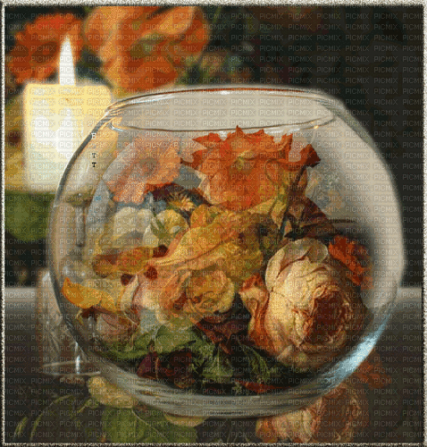 Glas, Blumen, Kerze, Herbst - Бесплатни анимирани ГИФ
