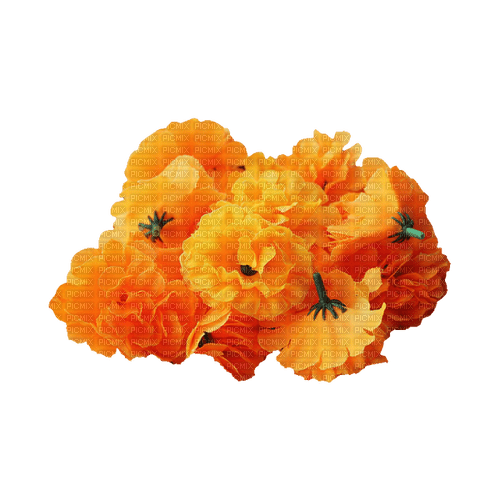 kikkapink deco scrap orange flowers flower - δωρεάν png