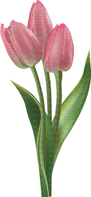 Flowers pink bp - PNG gratuit