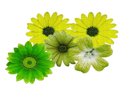 fleurs ( - 無料のアニメーション GIF