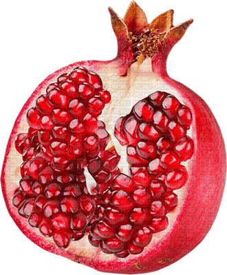 pomegranate fruit bp - bezmaksas png