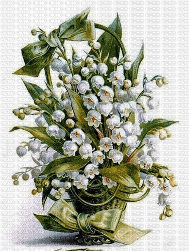 Rena Maiglöckchen Blumen Flowers - nemokama png