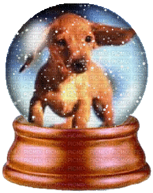 chien dog - Бесплатни анимирани ГИФ
