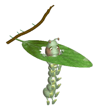 Caterpillar Eating Leaf - GIF animado gratis