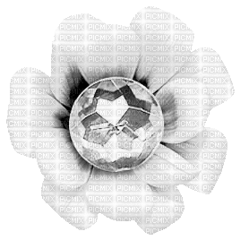 Flower.White.Animated - KittyKatLuv65 - 免费动画 GIF