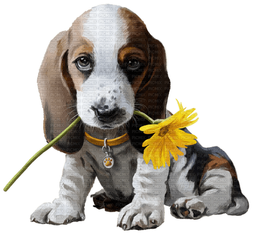 Yellow.Flower.Dog.Chien.Victoriabea - Free PNG