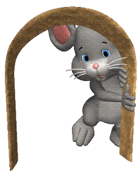 ani- mus-råtta-djur - Zdarma animovaný GIF