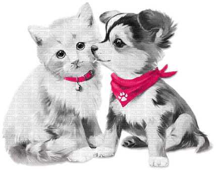 soave deco valentine animals cat dog friends - фрее пнг