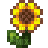 Stardew Valley Sunflower - Free PNG
