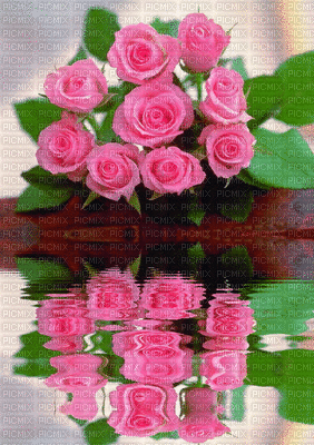 rosa di colore rosa - GIF animé gratuit