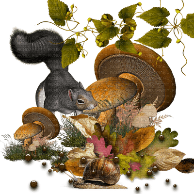 Kaz_Creations Animals Squirrels Squirrel - 免费PNG