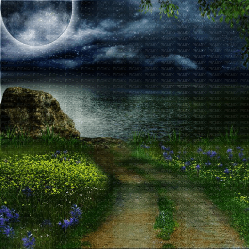 Y.A.M._Fantasy night moon background - Free PNG