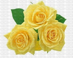 rosas - Free PNG