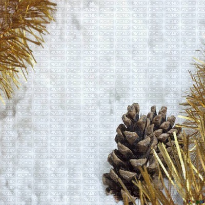 winter hiver fond background branch fir snow neige - PNG gratuit
