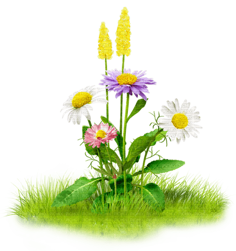 Flowers.White.Yellow.Purple.Pink - PNG gratuit