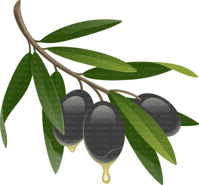 olives bp - Free PNG