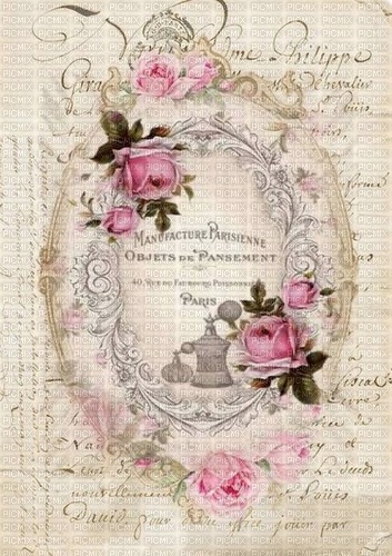 victorian  vintage  pink roses background - gratis png