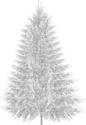 Christmas tree bp - besplatni png