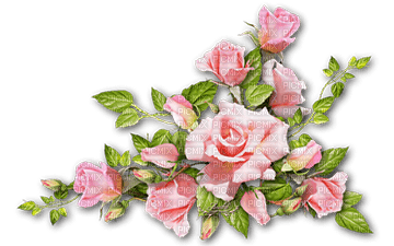 soave deco flowers rose branch vintage spring - png ฟรี